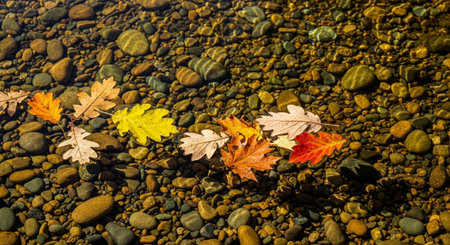 Nature Wallpaper Photography Backgroundの写真素材