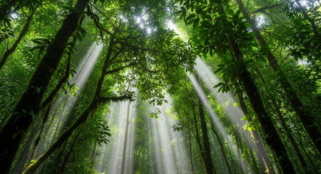 Nature Wallpaper Photography Backgroundの写真素材