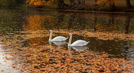 Nature Wallpaper Photography Backgroundの写真素材