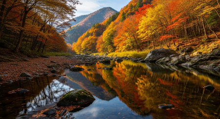 Nature Wallpaper Photography Backgroundの写真素材