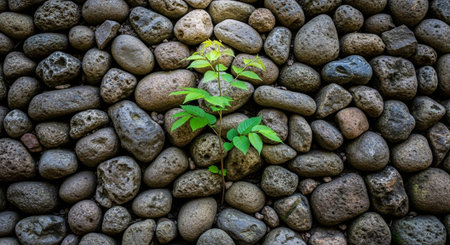 Nature Wallpaper Photography Backgroundの写真素材