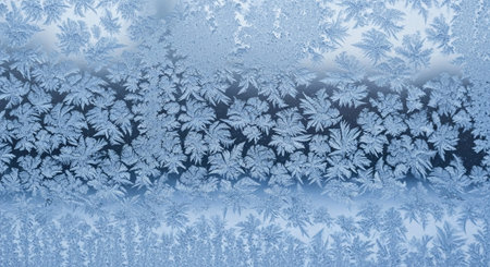 Nature Wallpaper Photography Background