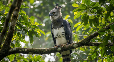 Nature Wallpaper Photography Backgroundの写真素材