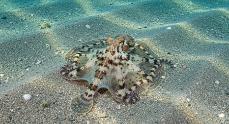 Nature Wallpaper Photography Backgroundの写真素材