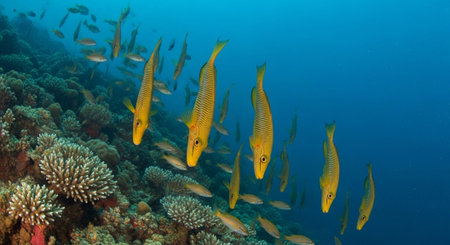 Nature Wallpaper Photography Backgroundの写真素材