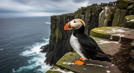 Nature Wallpaper Photography Backgroundの写真素材