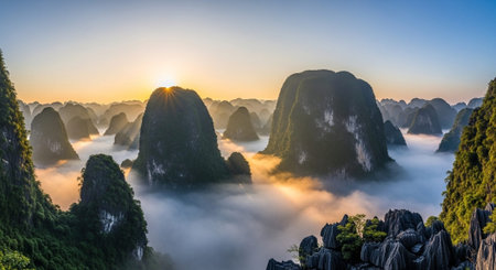 Nature Wallpaper Photography Background