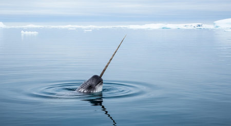 Nature Wallpaper Photography Backgroundの写真素材