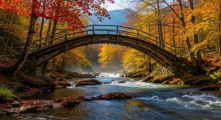 Nature Wallpaper Photography Backgroundの写真素材