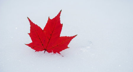 Nature Wallpaper Photography Backgroundの写真素材