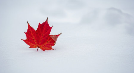 Nature Wallpaper Photography Backgroundの写真素材