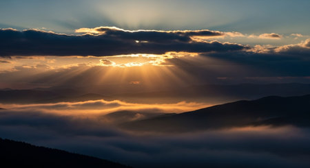 Nature Wallpaper Photography Background