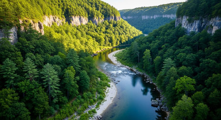 Nature Wallpaper Photography Background