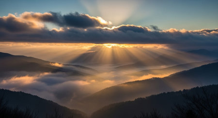 Nature Wallpaper Photography Backgroundの写真素材