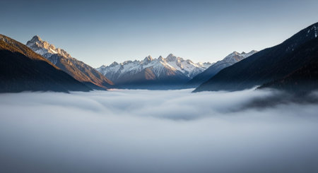 Nature Wallpaper Photography Background