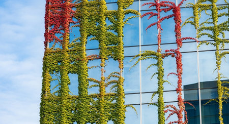 Nature Wallpaper Photography Backgroundの写真素材