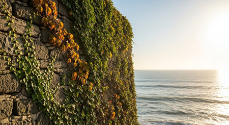 Nature Wallpaper Photography Backgroundの写真素材