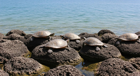 Nature Wallpaper Photography Backgroundの写真素材