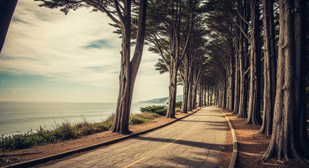 Nature Wallpaper Photography Background