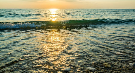 Nature Wallpaper Photography Background