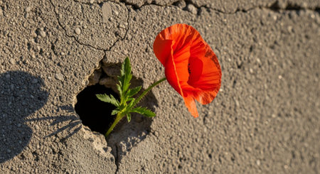 Nature Wallpaper Photography Backgroundの写真素材