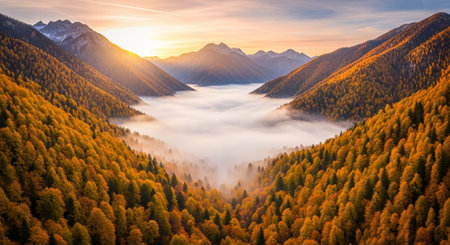 Nature Wallpaper Photography Backgroundの写真素材