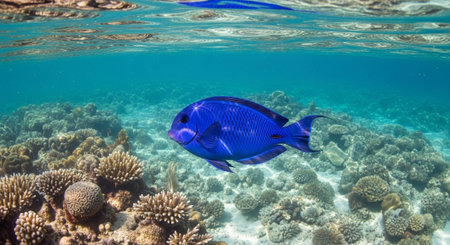 Nature Wallpaper Photography Backgroundの写真素材