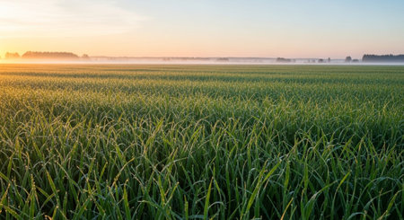 Nature Wallpaper Photography Backgroundの写真素材