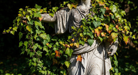 Nature Wallpaper Photography Backgroundの写真素材