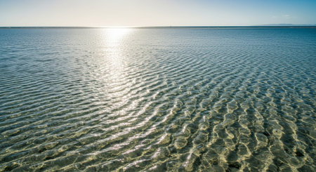Nature Wallpaper Photography Background