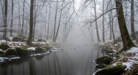 Nature Wallpaper Photography Backgroundの写真素材