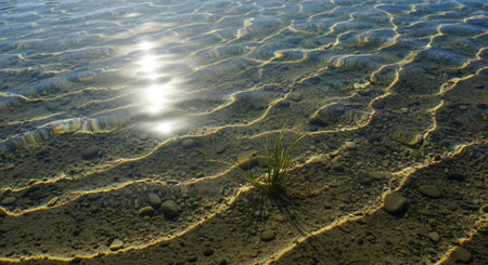 Nature Wallpaper Photography Backgroundの写真素材