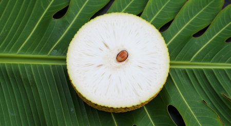 Fresh Fruits Photography on Clean Background