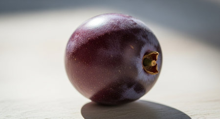 Fresh Fruits Photography on Clean Backgroundの写真素材