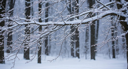 Nature Wallpaper Photography Backgroundの写真素材