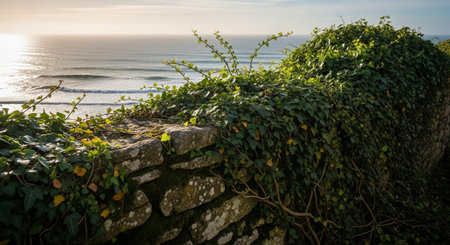 Nature Wallpaper Photography Backgroundの写真素材