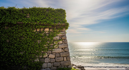 Nature Wallpaper Photography Backgroundの写真素材