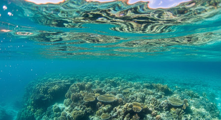 Nature Wallpaper Photography Backgroundの写真素材