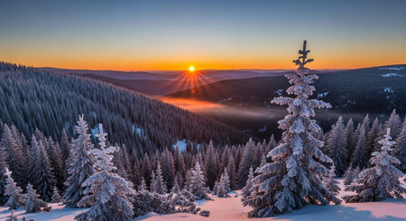 Nature Wallpaper Photography Backgroundの写真素材