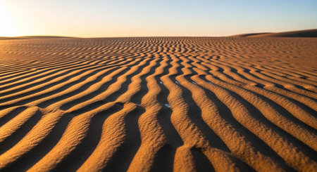 Nature Wallpaper Photography Backgroundの写真素材