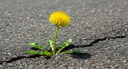 Nature Wallpaper Photography Backgroundの写真素材