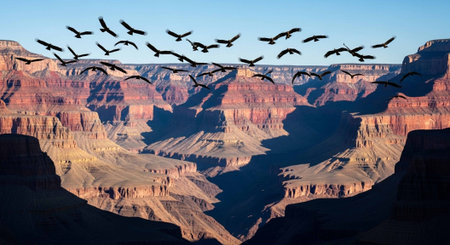 Nature Wallpaper Photography Backgroundの写真素材