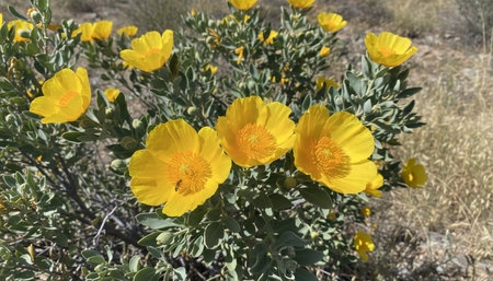 Beautiful Nature Photography Wallpaper.の写真素材