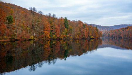 Beautiful Nature Photography Wallpaper.の写真素材