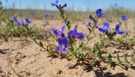 Beautiful Nature Photography Wallpaper.の写真素材