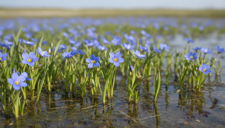 Beautiful Nature Photography Wallpaper.の写真素材