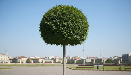 Beautiful Nature Photography Wallpaper.の写真素材