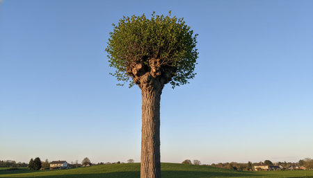 Beautiful Nature Photography Wallpaper.の写真素材