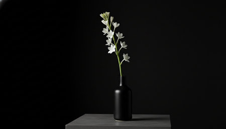 Beautiful Nature Photography Wallpaper.の写真素材