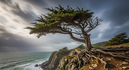 Beautiful Nature Photography Wallpaper.の写真素材